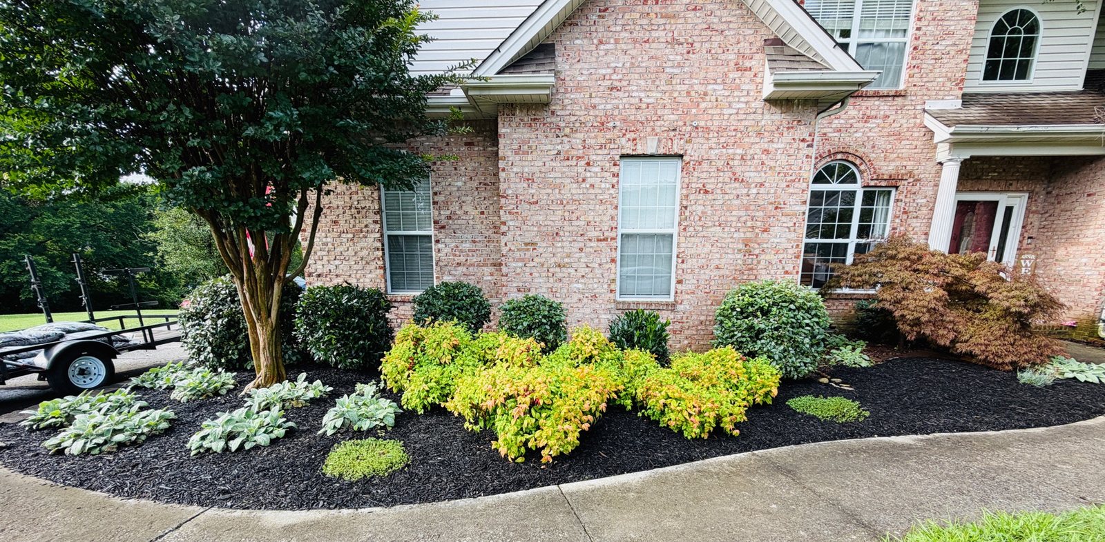 Landscape bed after weeding and fresh black mulch