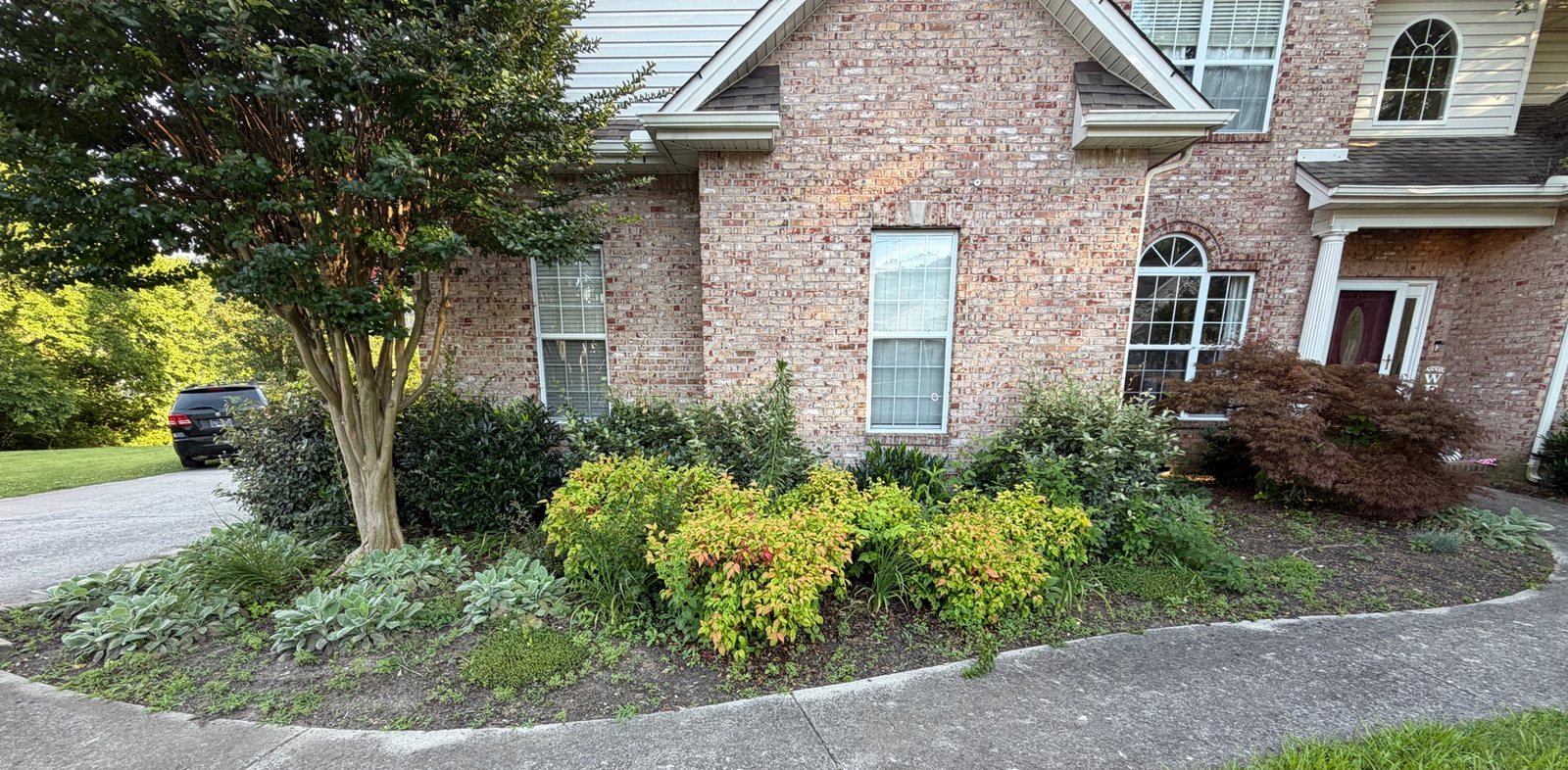 Landscape bed before weeding and mulch