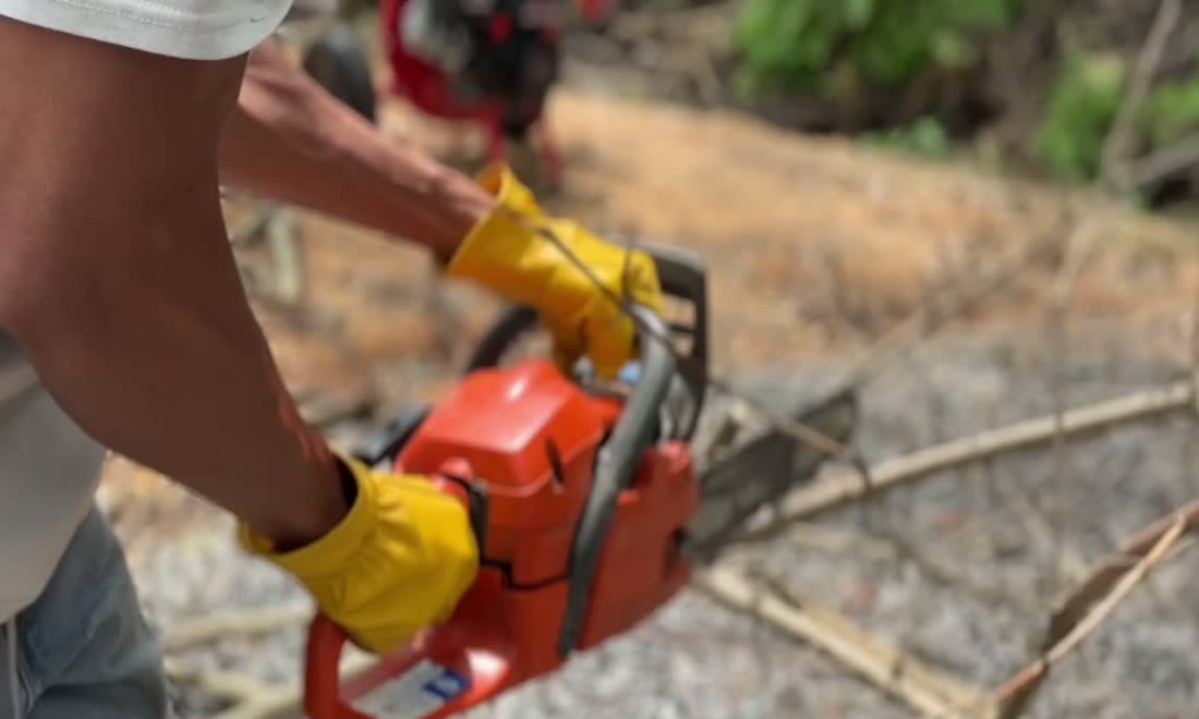 Cutting limbs with a chainsaw